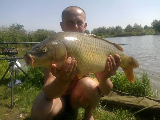2010 — zdjęcie 2