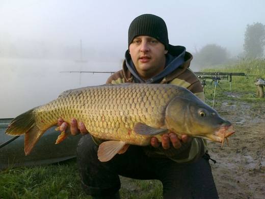 2010 — zdjęcie 4