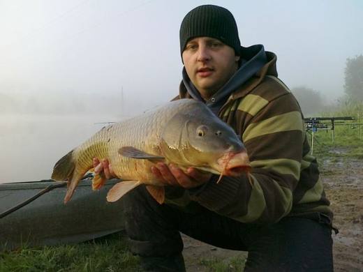 2010 — zdjęcie 5