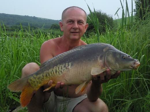 2010 — zdjęcie 7