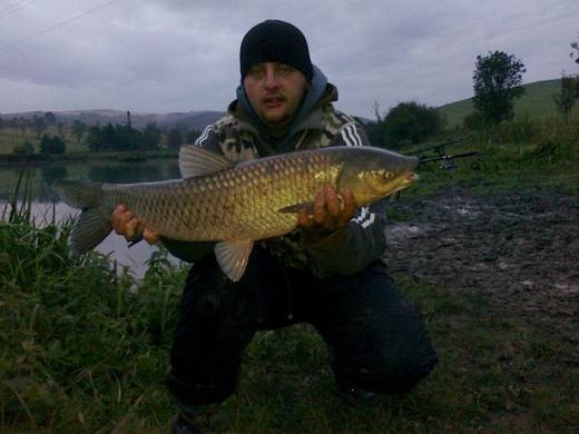 2010 — zdjęcie 13