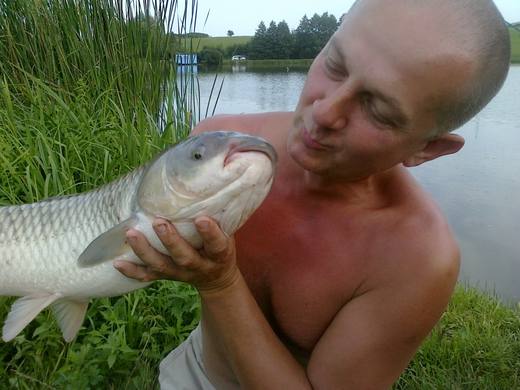 2010 — zdjęcie 15