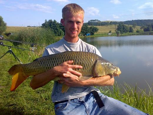 2010 — zdjęcie 16