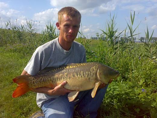 2010 — zdjęcie 17