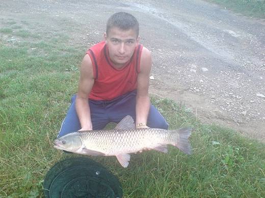 2010 — zdjęcie 18