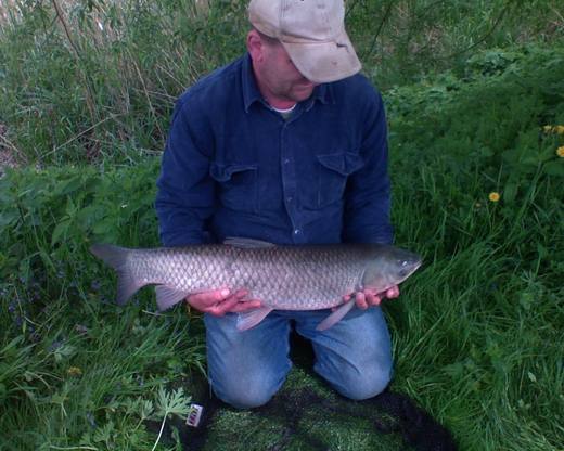 2010 — zdjęcie 21