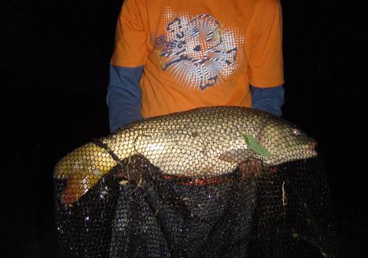 2010 — zdjęcie 22