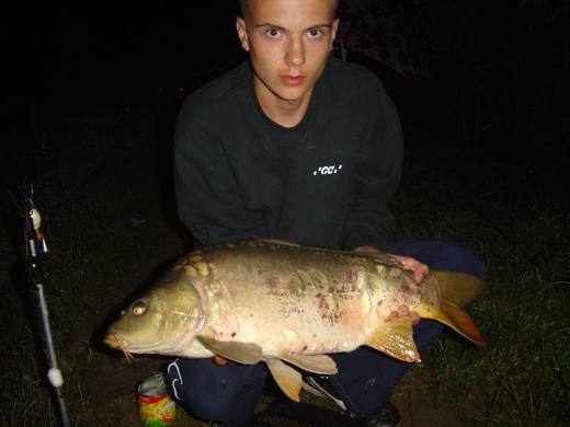2010 — zdjęcie 31