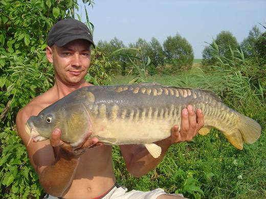 2010 — zdjęcie 33