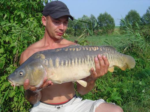 2010 — zdjęcie 34