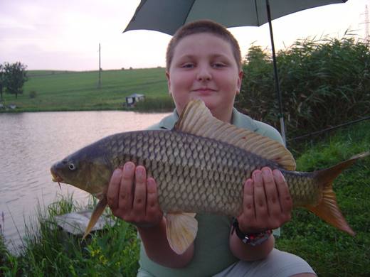 2010 — zdjęcie 35