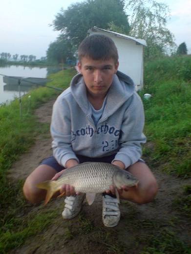 2010 — zdjęcie 37