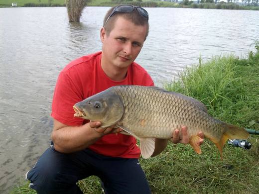 2010 — zdjęcie 40