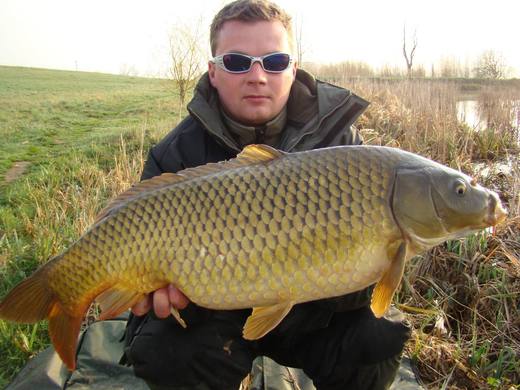 2010 — zdjęcie 50