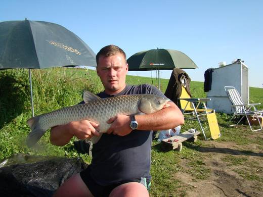 2010 — zdjęcie 51