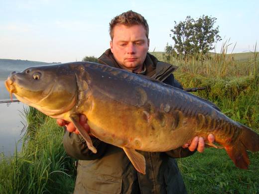 2010 — zdjęcie 55