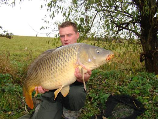 2010 — zdjęcie 58