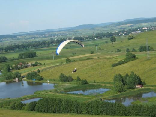 2010 — zdjęcie 61