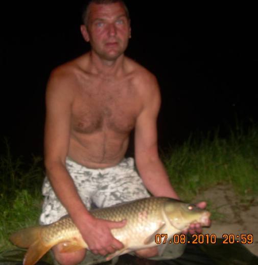 2010 — zdjęcie 65