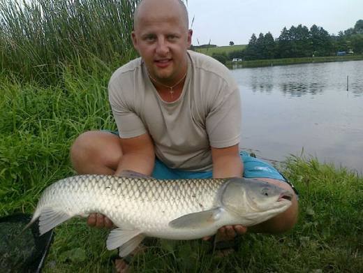 2010 — zdjęcie 71