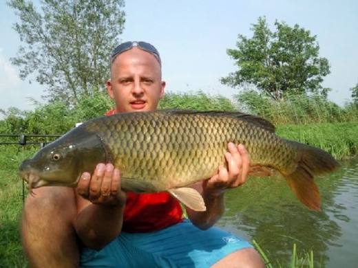 2010 — zdjęcie 72