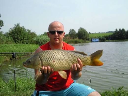 2010 — zdjęcie 73