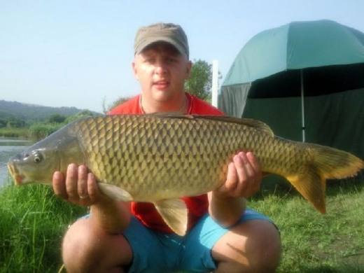 2010 — zdjęcie 74