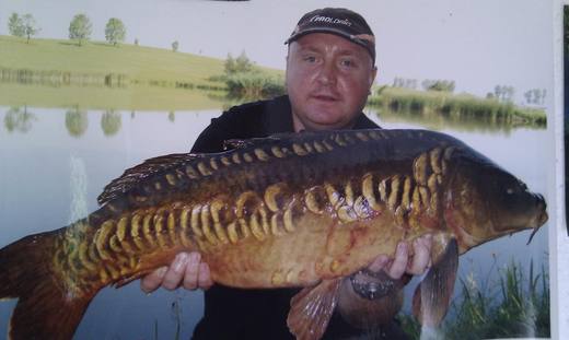 2010 — zdjęcie 78