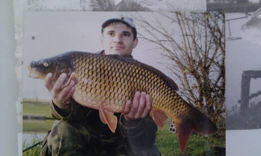 2010 — zdjęcie 79