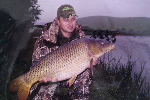 2010 — zdjęcie 81