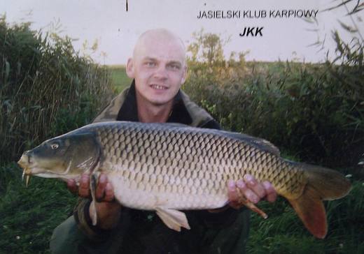 2010 — zdjęcie 82
