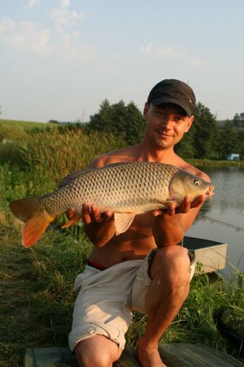 2010 — zdjęcie 91