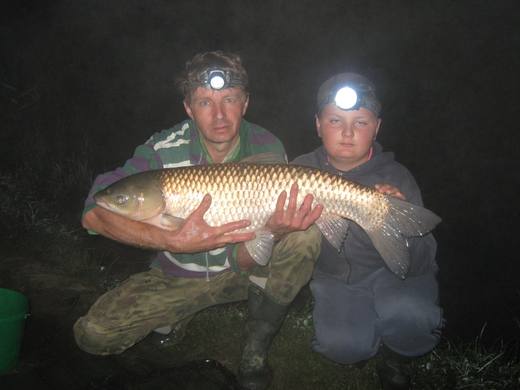 2010 — zdjęcie 95