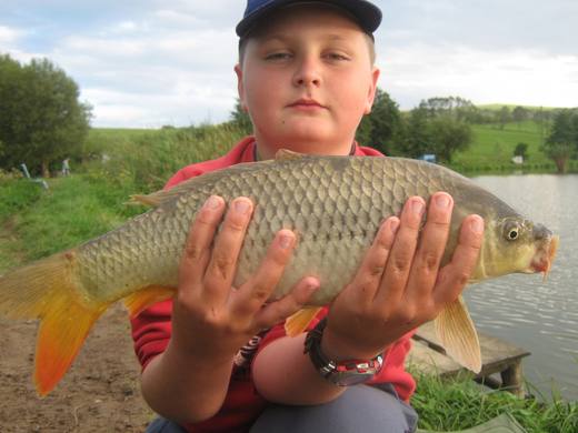 2010 — zdjęcie 98