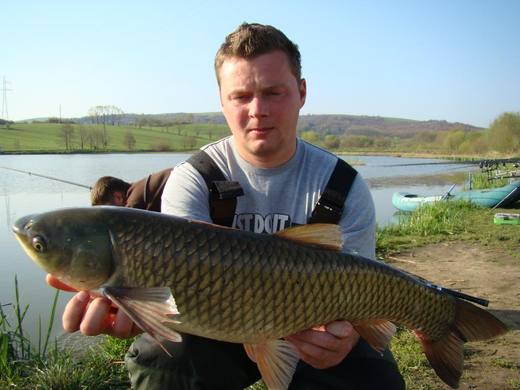 2010 — zdjęcie 100