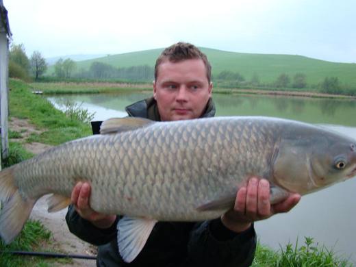 2010 — zdjęcie 102