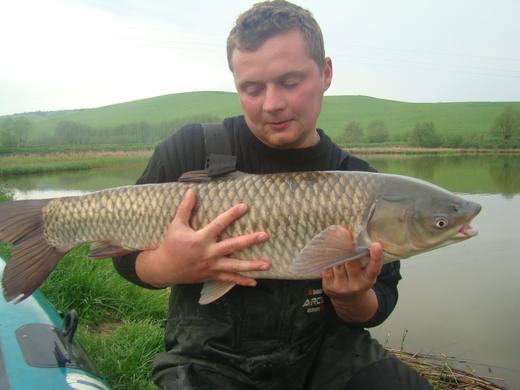 2010 — zdjęcie 103