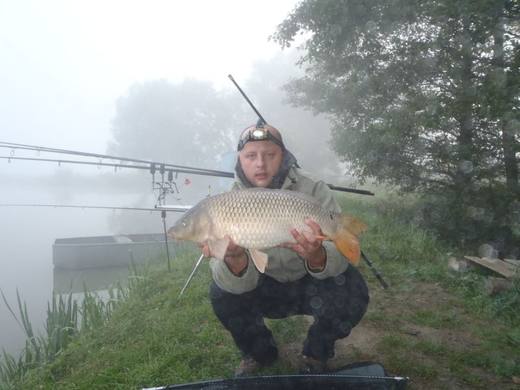 2011 — zdjęcie 1