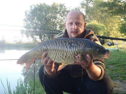 2011 — zdjęcie 2