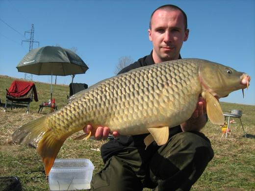 2011 — zdjęcie 7