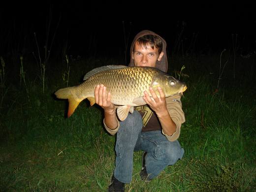 2011 — zdjęcie 9