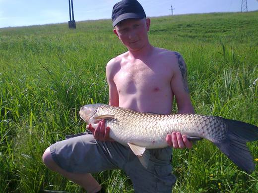 2011 — zdjęcie 15