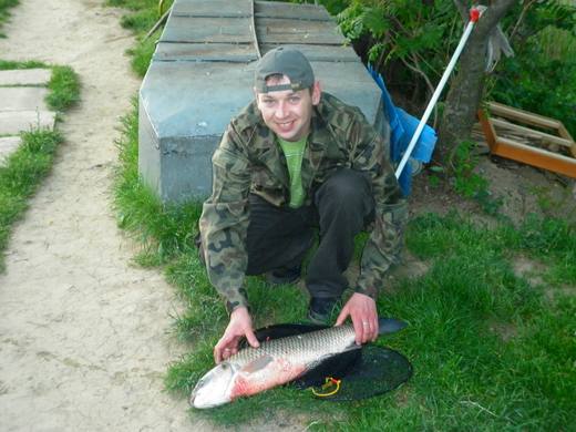2011 — zdjęcie 18