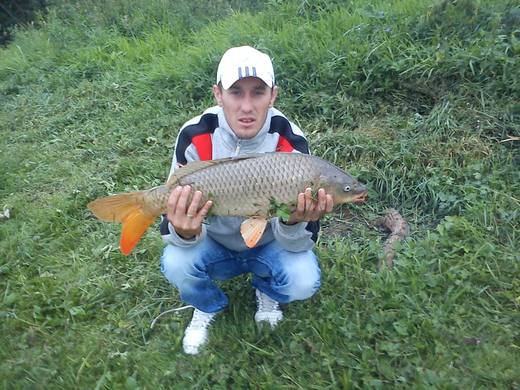 2011 — zdjęcie 22