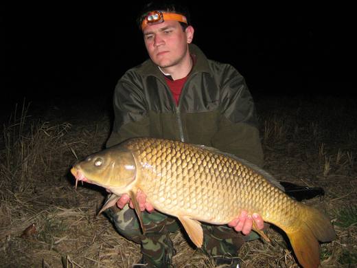 2011 — zdjęcie 29