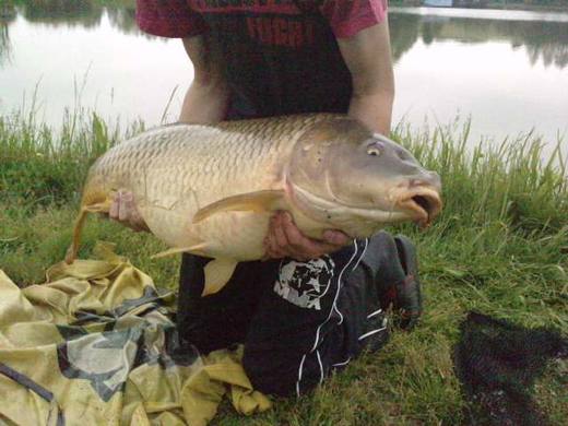 2011 — zdjęcie 31