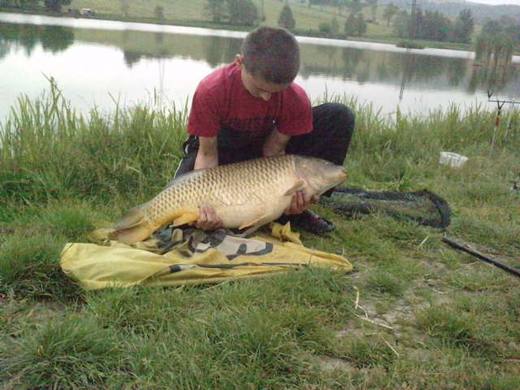 2011 — zdjęcie 32