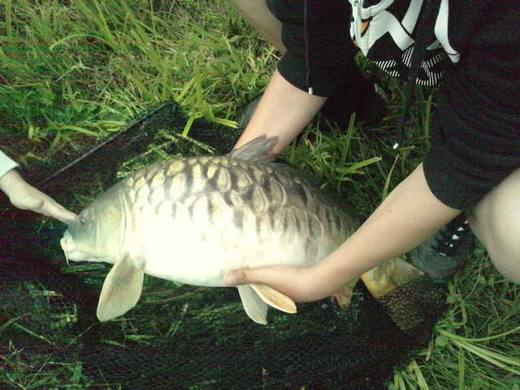 2011 — zdjęcie 34