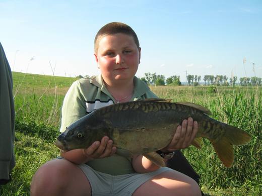 2011 — zdjęcie 43
