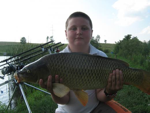 2011 — zdjęcie 44